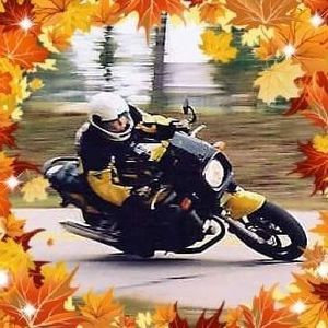 Meet your Posher, Becky